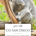 The Go San Diego Card is a sightseeing pass that saves up to 60% on San Diego attractions. Here's who I recommend it for.