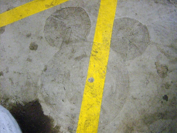 Hidden Mickeys in the Daisy level Mickey & Friends parking lot