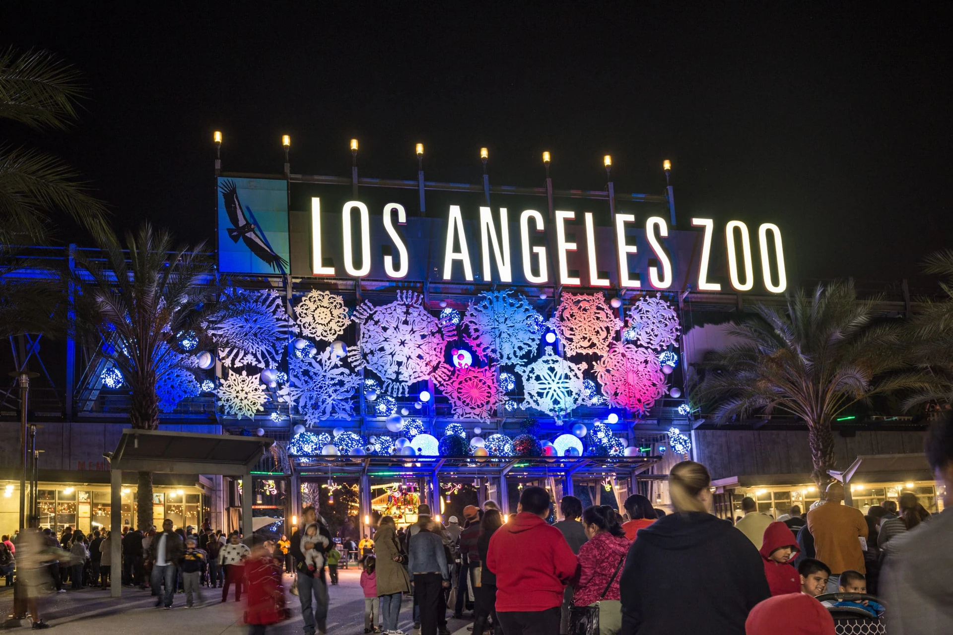Los Angeles Zoo Holiday Lights
