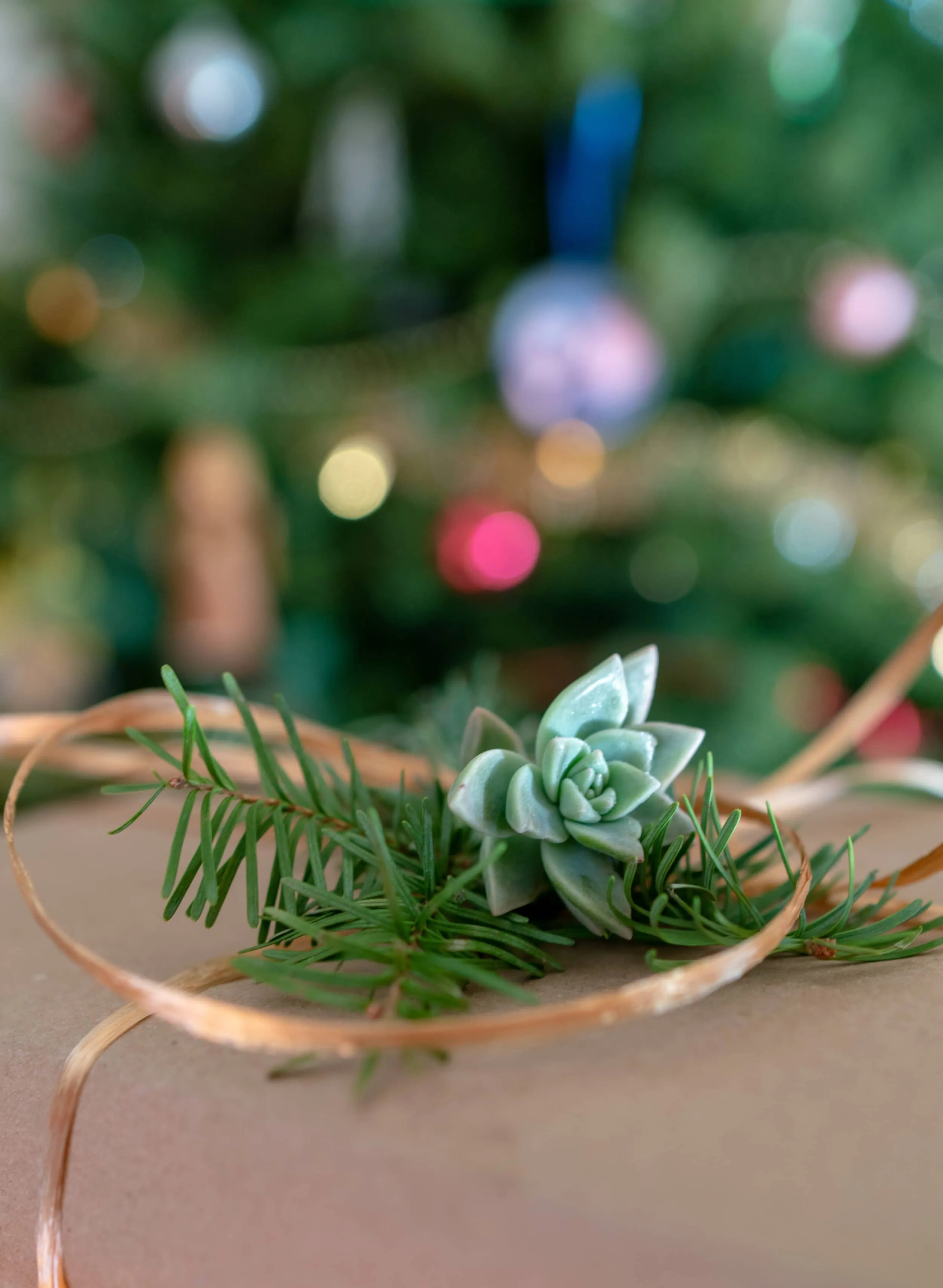 Succulent gift wrap topper