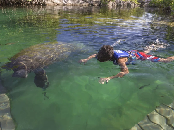 Best Day Trips from Cancun: Xel-ha