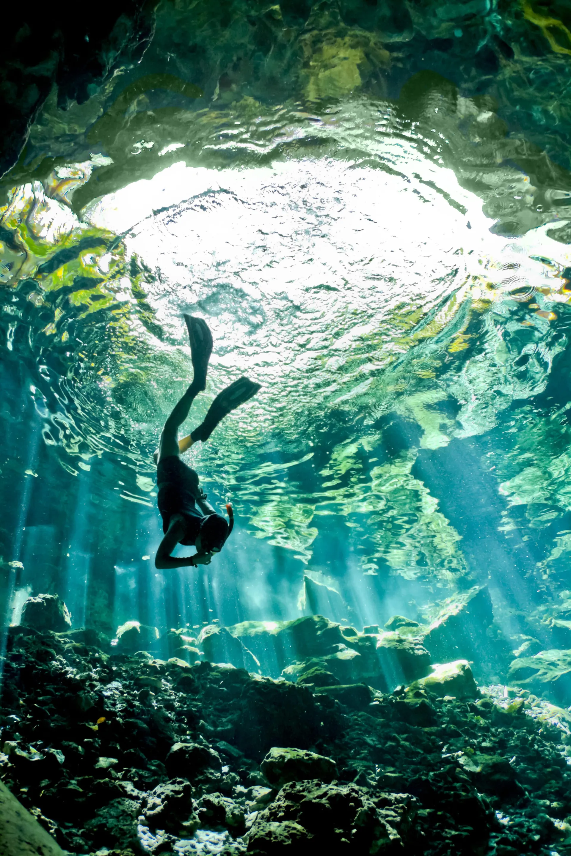 Day trips from Cancun: Swim in Cenotes