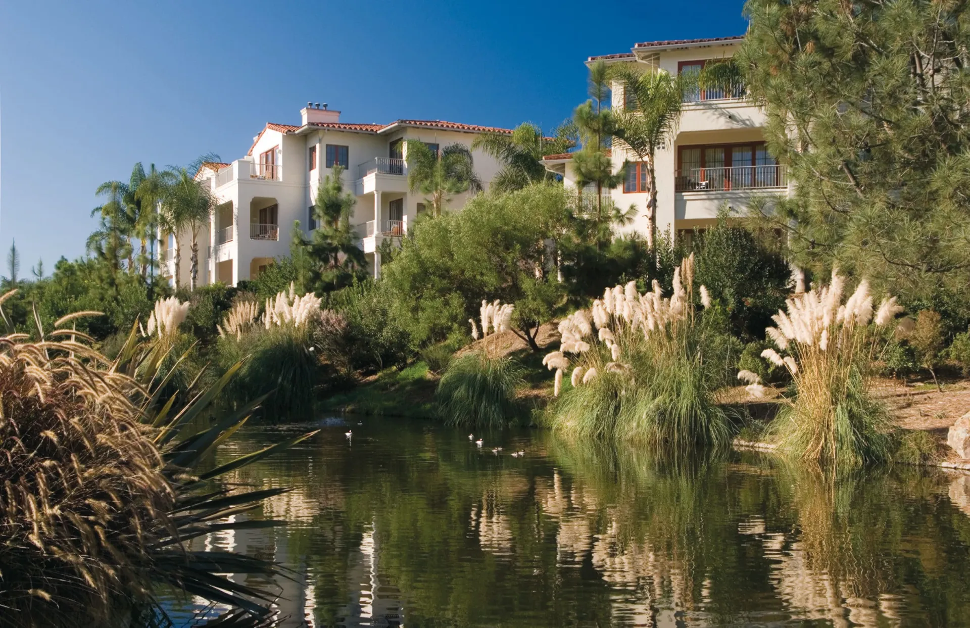A building full of residences overlooks the Batiquitos Lagoon.