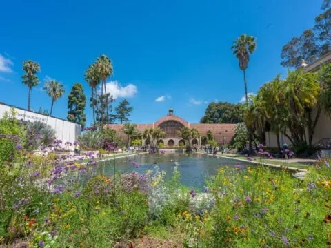 Things to do in Balboa Park San Diego