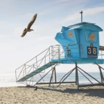 Guide to the best Carlsbad beaches for swimming, surfing, sunbathing, and more (San Diego, California)