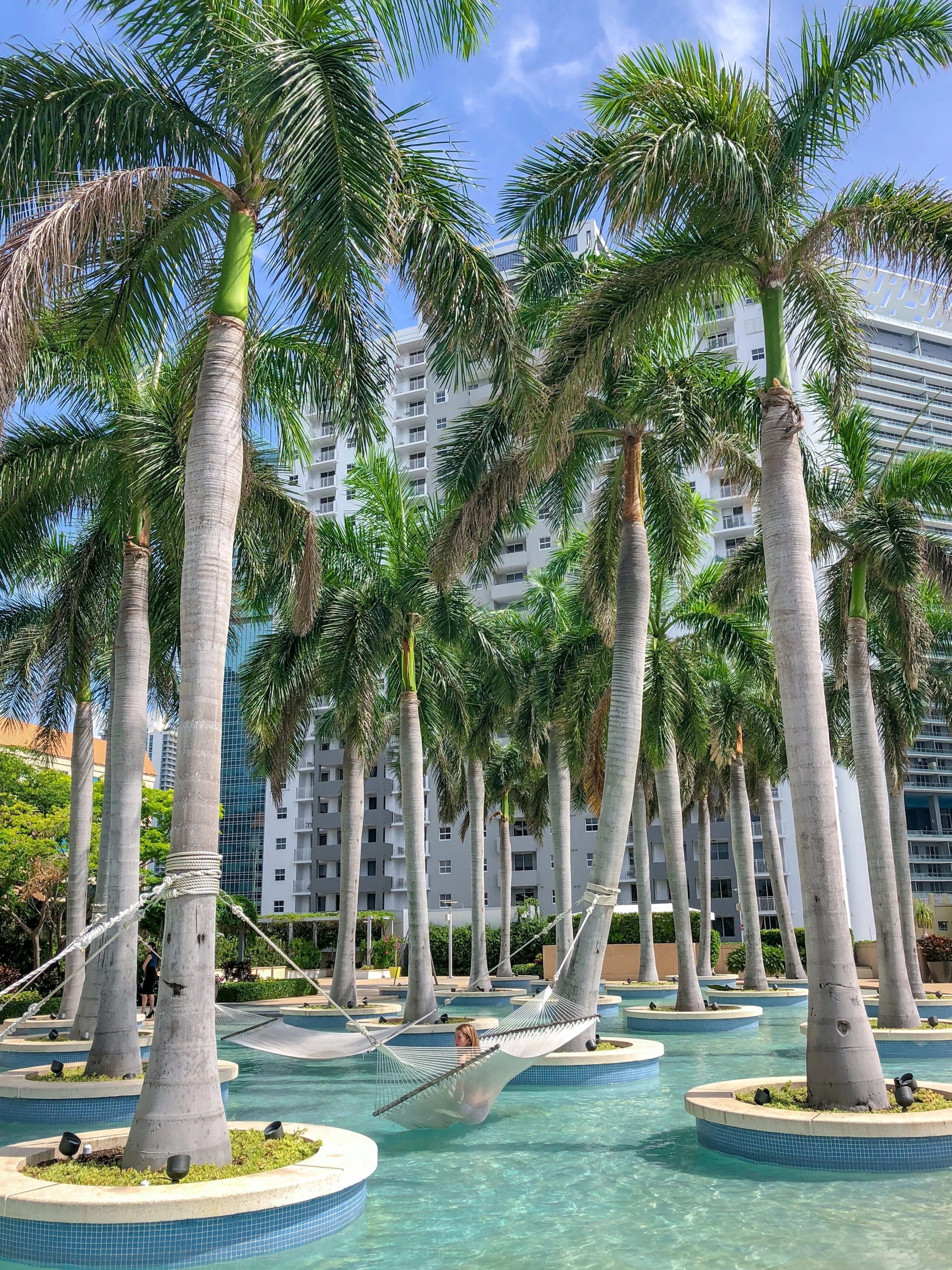 The glorious palm-tree and hammock pool at Four Seasons Hotel Miami