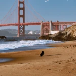 Yes, you can still go to the beach in San Francisco. Here's where to find the best sand, swimming, walks and outdoor fun by the water.