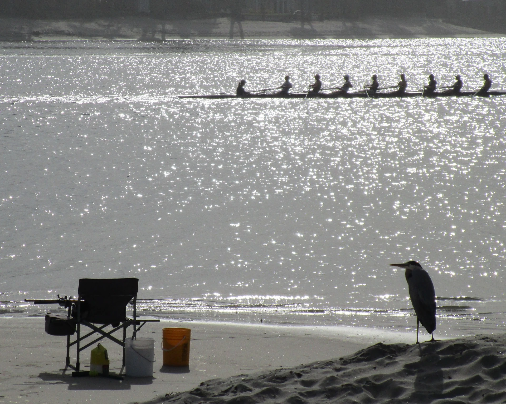 Rowing on Mission Bay San Diego