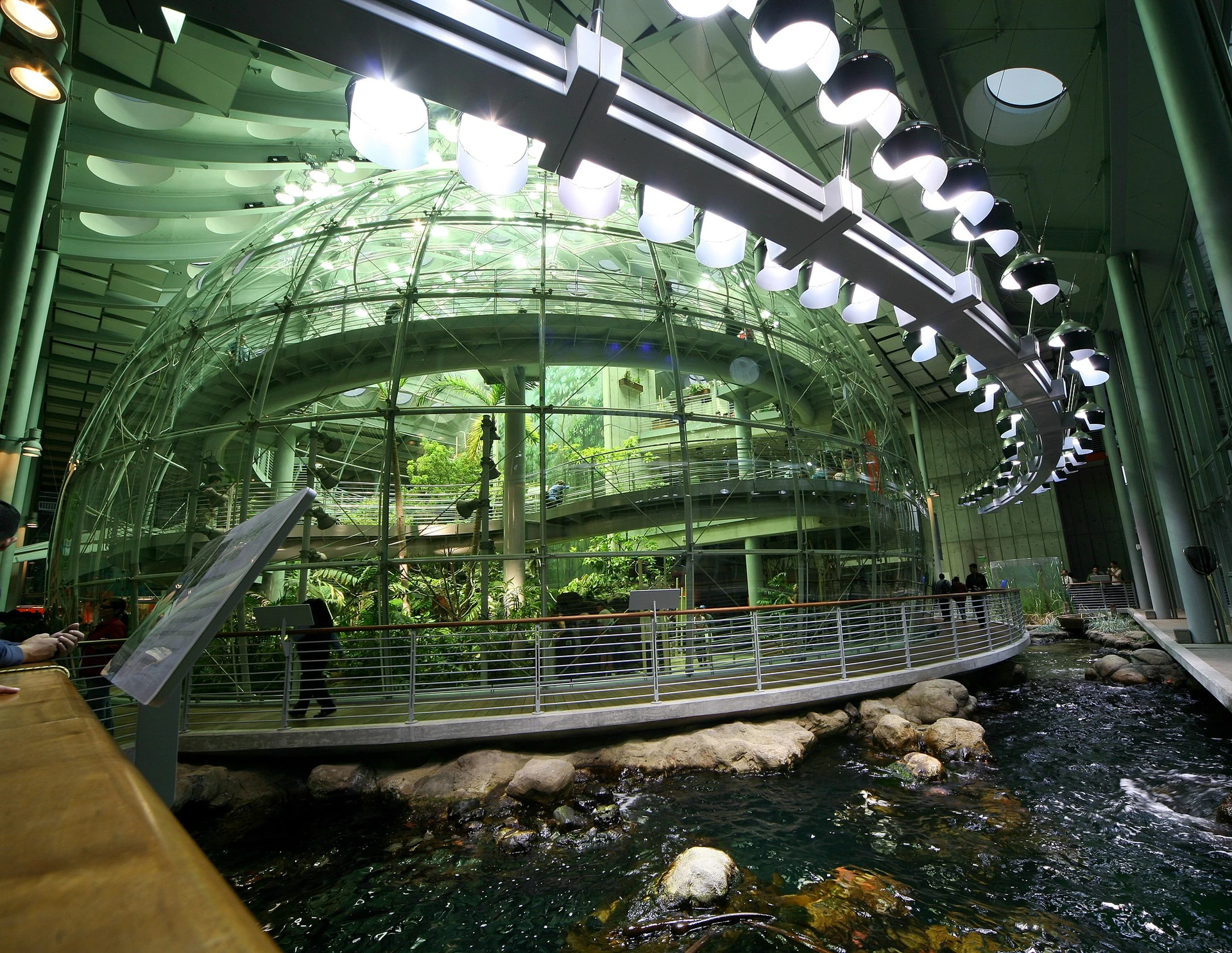 A spherical glass dome covering the rainforest exhibit inside the California Academy of Sciences