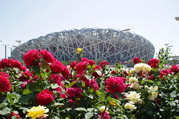 Beijing Olympic Park Bird's Nest