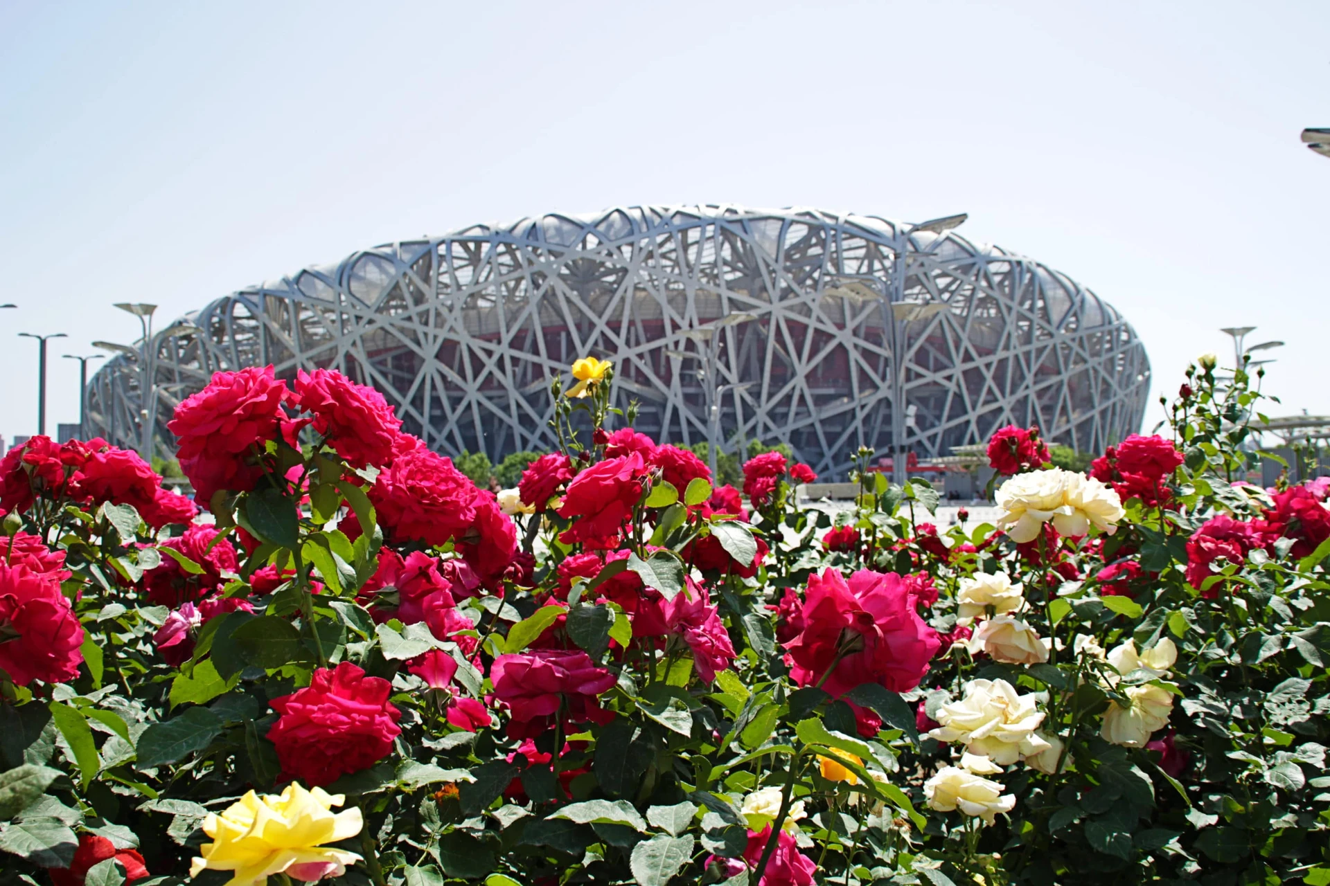 Beijing Olympic Park Bird's Nest