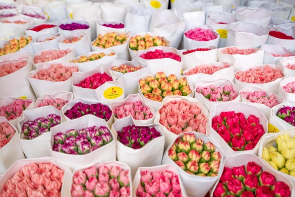 Hong Kong shopping: Flower Market in Mongkok