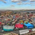 San Diego Summer Events: San Diego County Fair