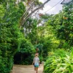 Things to do in Singapore: Singapore Zoo