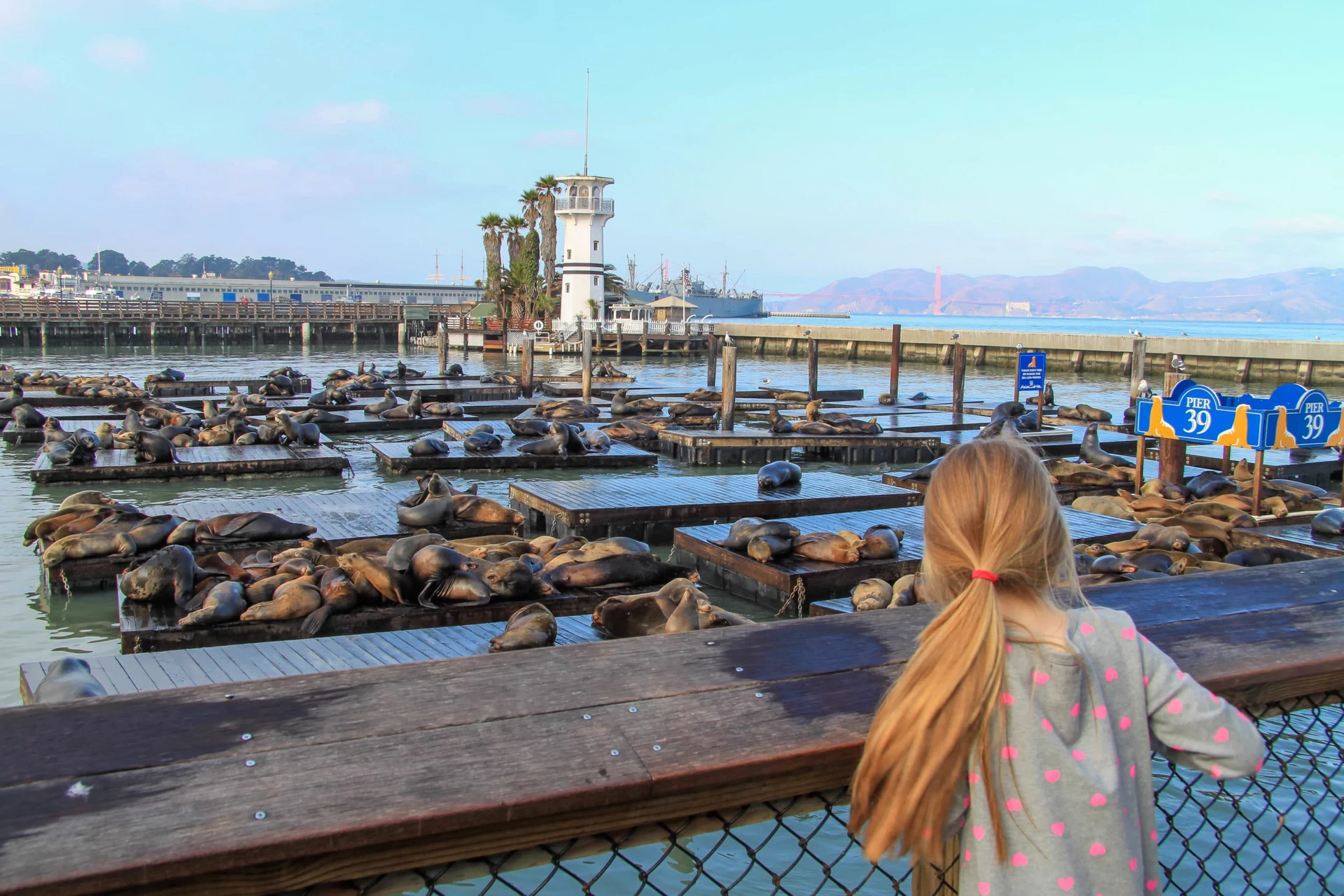 My daughter admiring the lounging Pier 39 sea lions