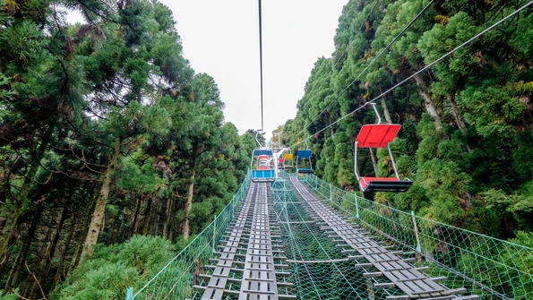 Going on a chair lift up towards Mount. Takao, Tokyo flanked by tall green pine trees.