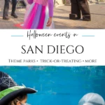 Even in this strange year you can go safe trick-or-treating, explore pumpkin patches, and attend fun Halloween events San Diego has to offer.