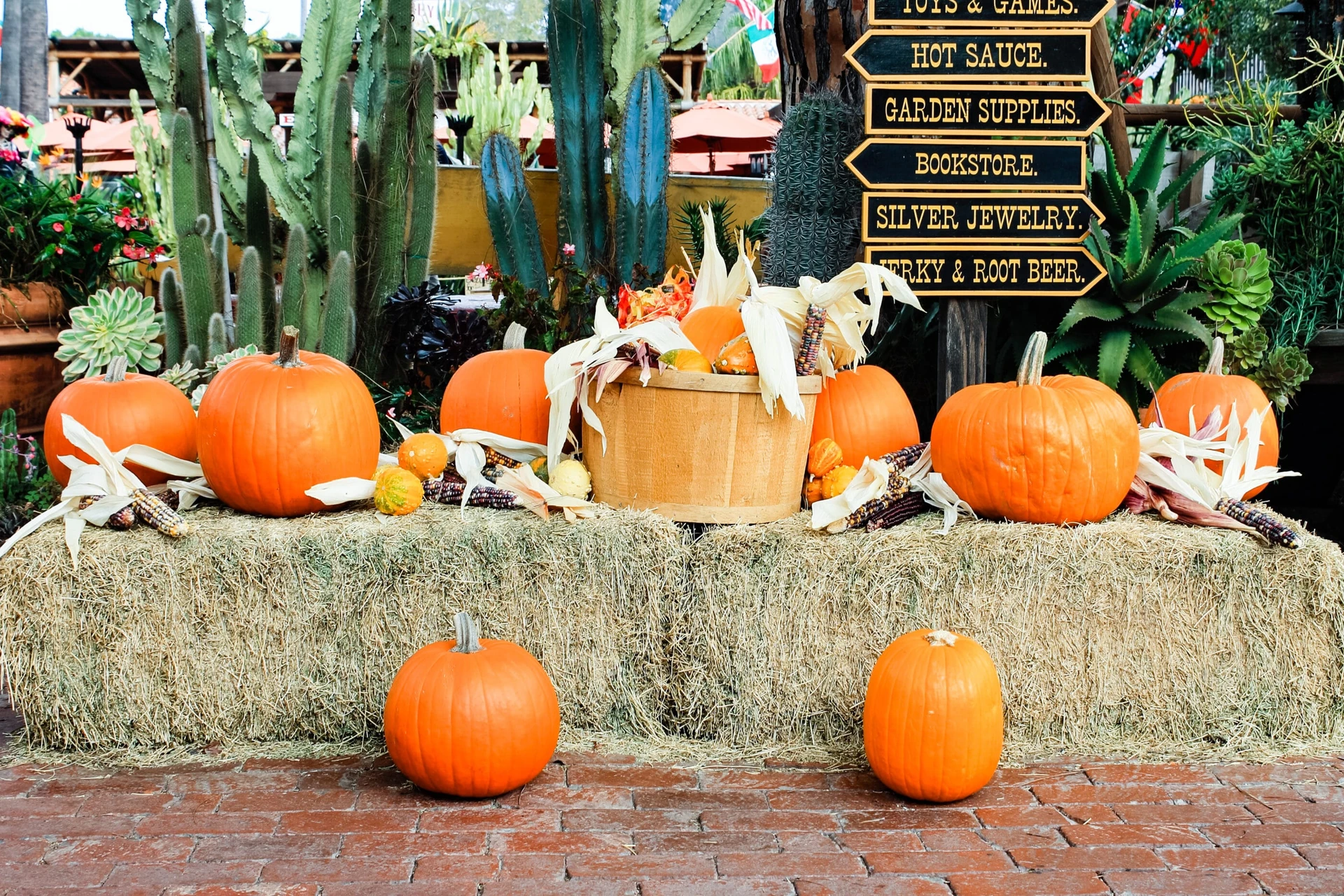 Find the best fall things to do in San Diego including Halloween activities, apple picking, theme park fun, tours, events and more on this annually-updated list.