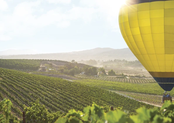 Find the best things to do in Temecula, California