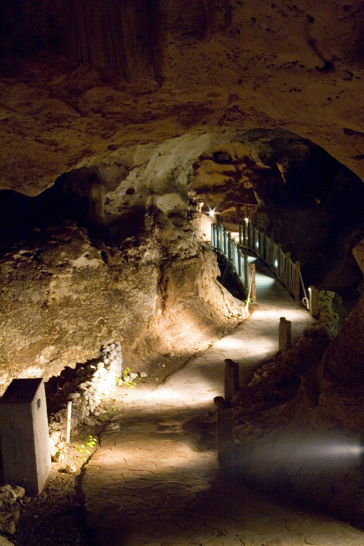 A walkway and bridge for tourists run through the dark cavern at Green Grotto Caves.