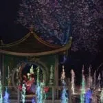 One of the best things to do in Macau is to see The House of Dancing Water show at City of Dreams. Here's why it's amazing.