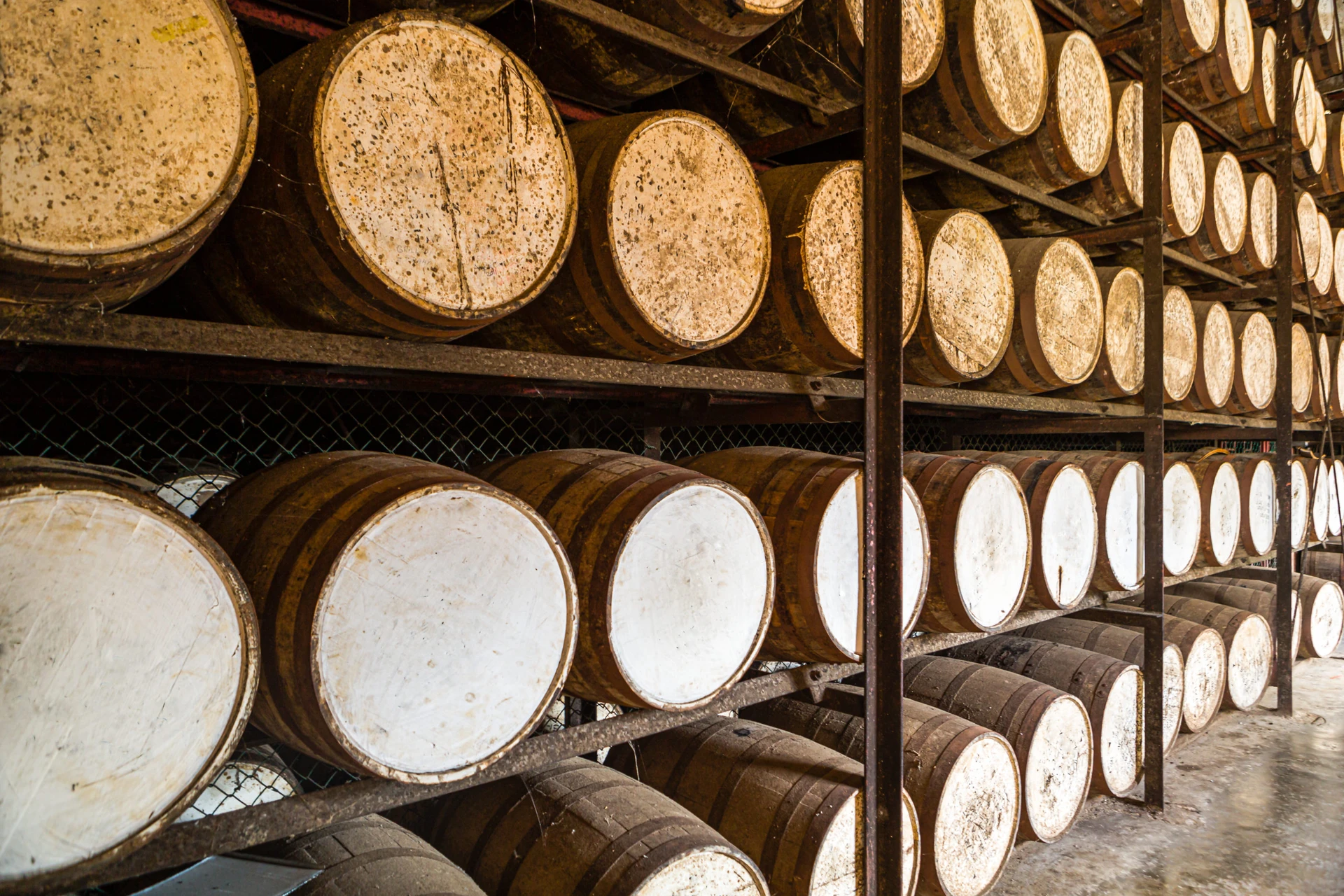 Jamaican rum barrels age on row up on row of shelves.