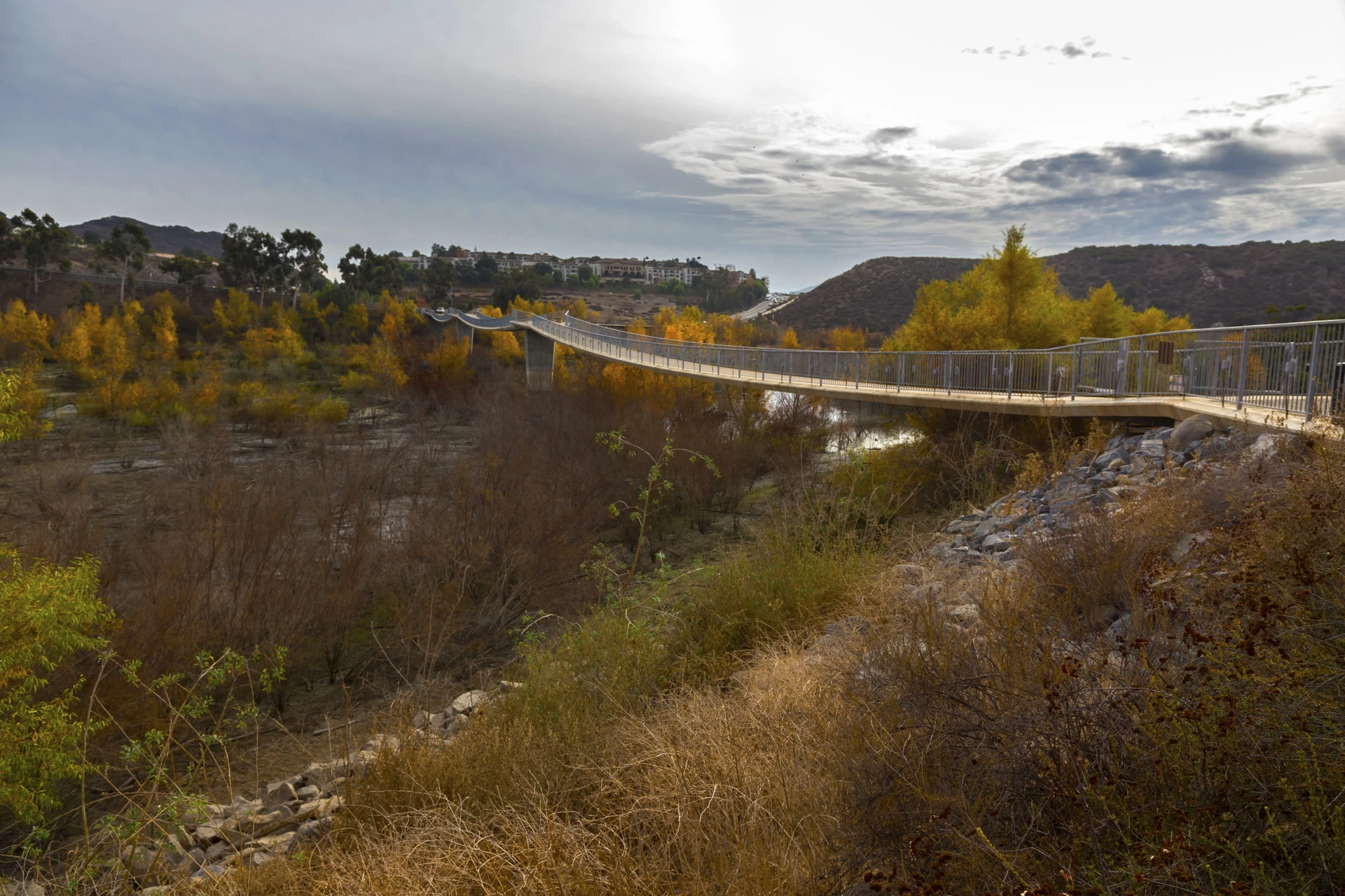 A view of the stress ribbon bridge over fall-colored foliage.