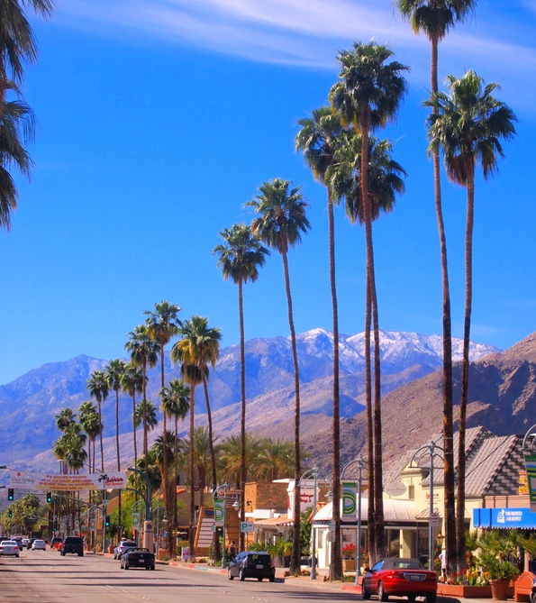 Palm trees line storefronts on Palm Canyon Drive with mountains in the background.