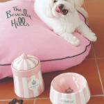 Find the best dog-friendly hotels in Los Angeles by neighborhood including Santa Monica, downtown, Beverly Hills. You won't believe the special pet amenities and we also discuss size restrictions, additional fees, and more.