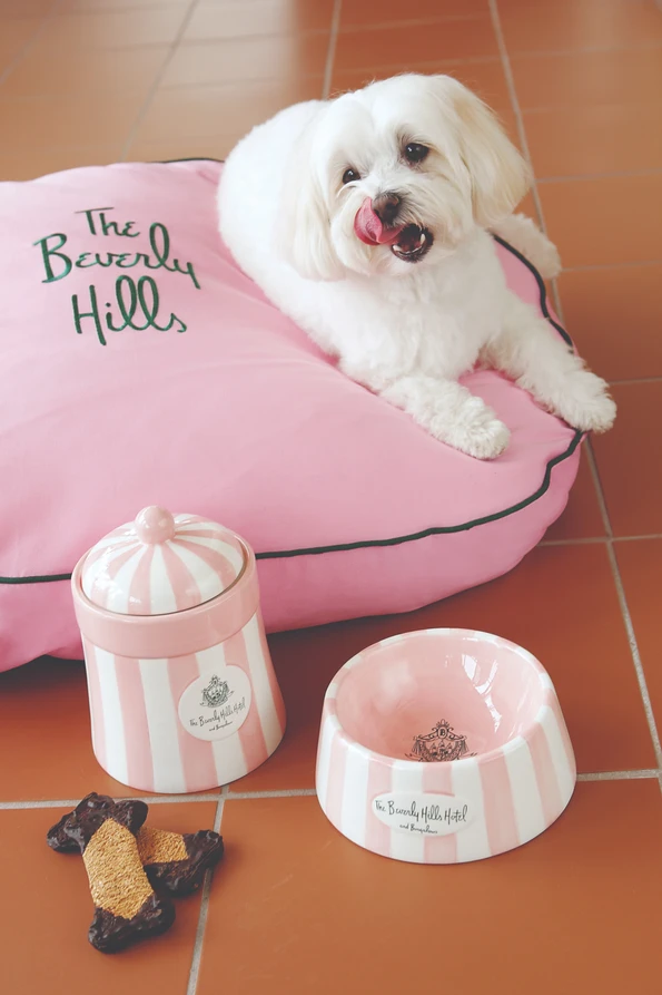 A white maltese dog sits on a pink bed with The Beverly Hills Hotel branded dog bowl and treats nearby.