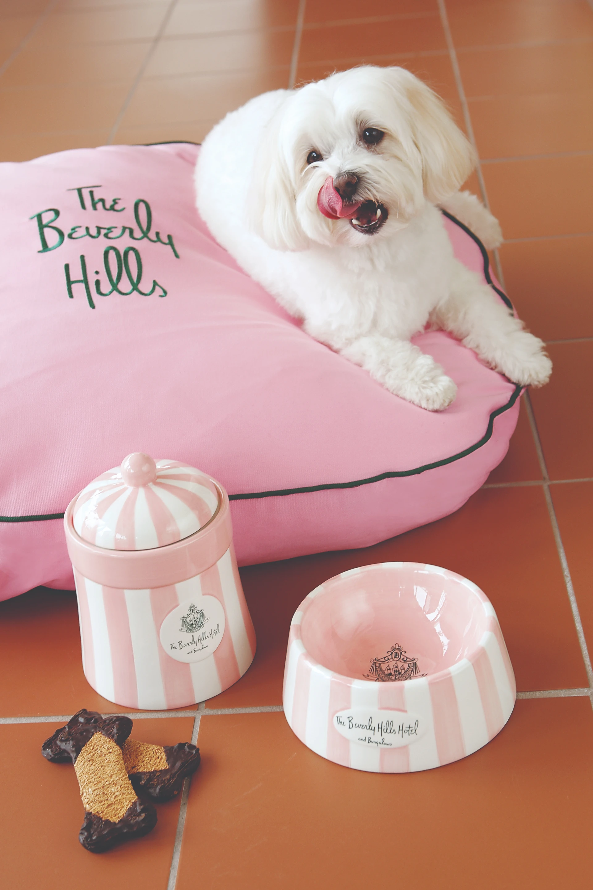 A white maltese dog sits on a pink bed with The Beverly Hills Hotel branded dog bowl and treats nearby.
