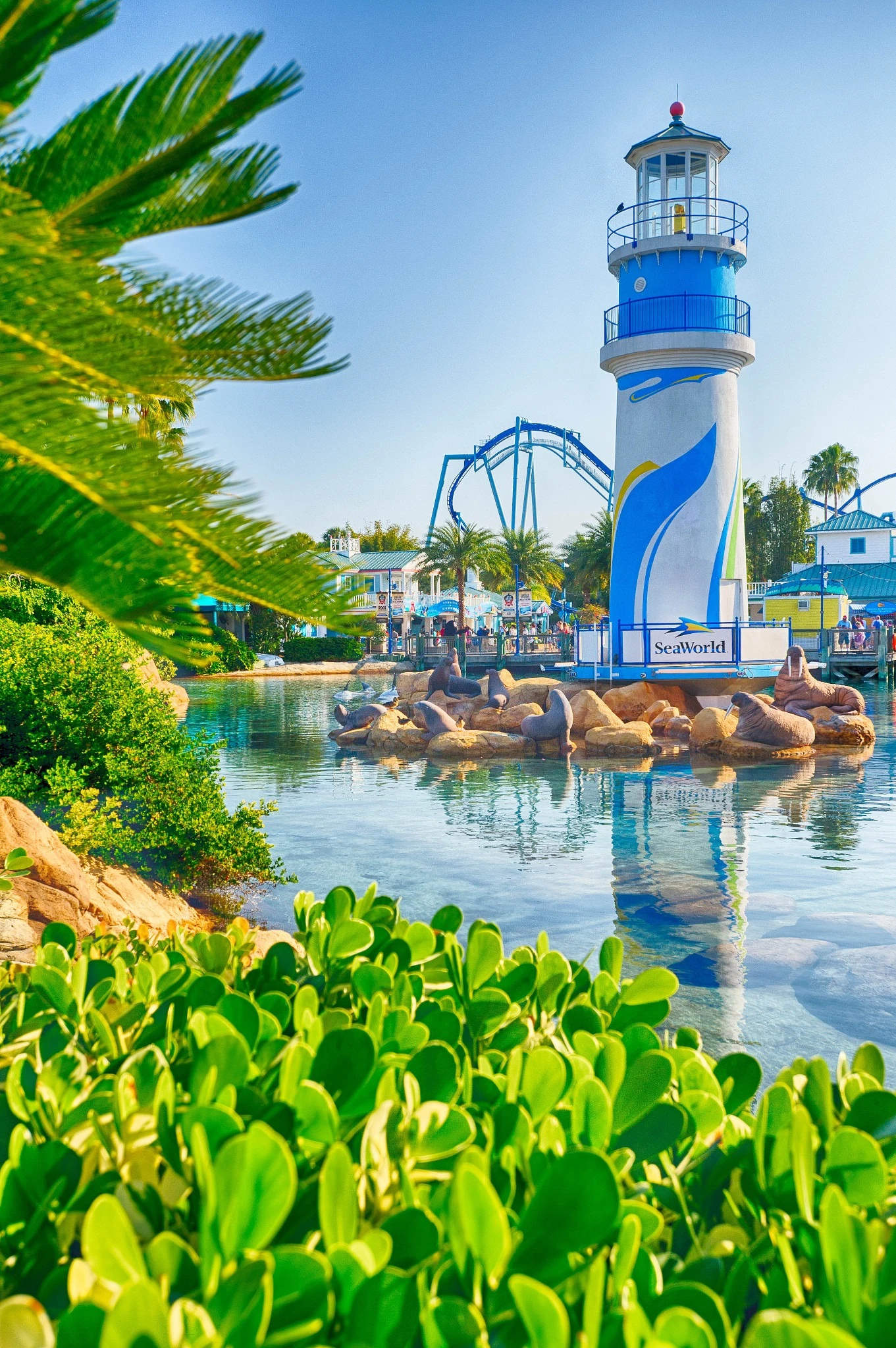 A lighthouse tower in the middle of a water feature with a rollercoaster in the background at SeaWorld Orlando Florida.