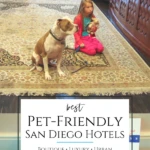 A list of the best dog-friendly hotels in San Diego for your next vacation with your pet put together by local hotel experts, based on personal experience. Accommodations are located in downtown, on the beach, and in other fantastic locations.