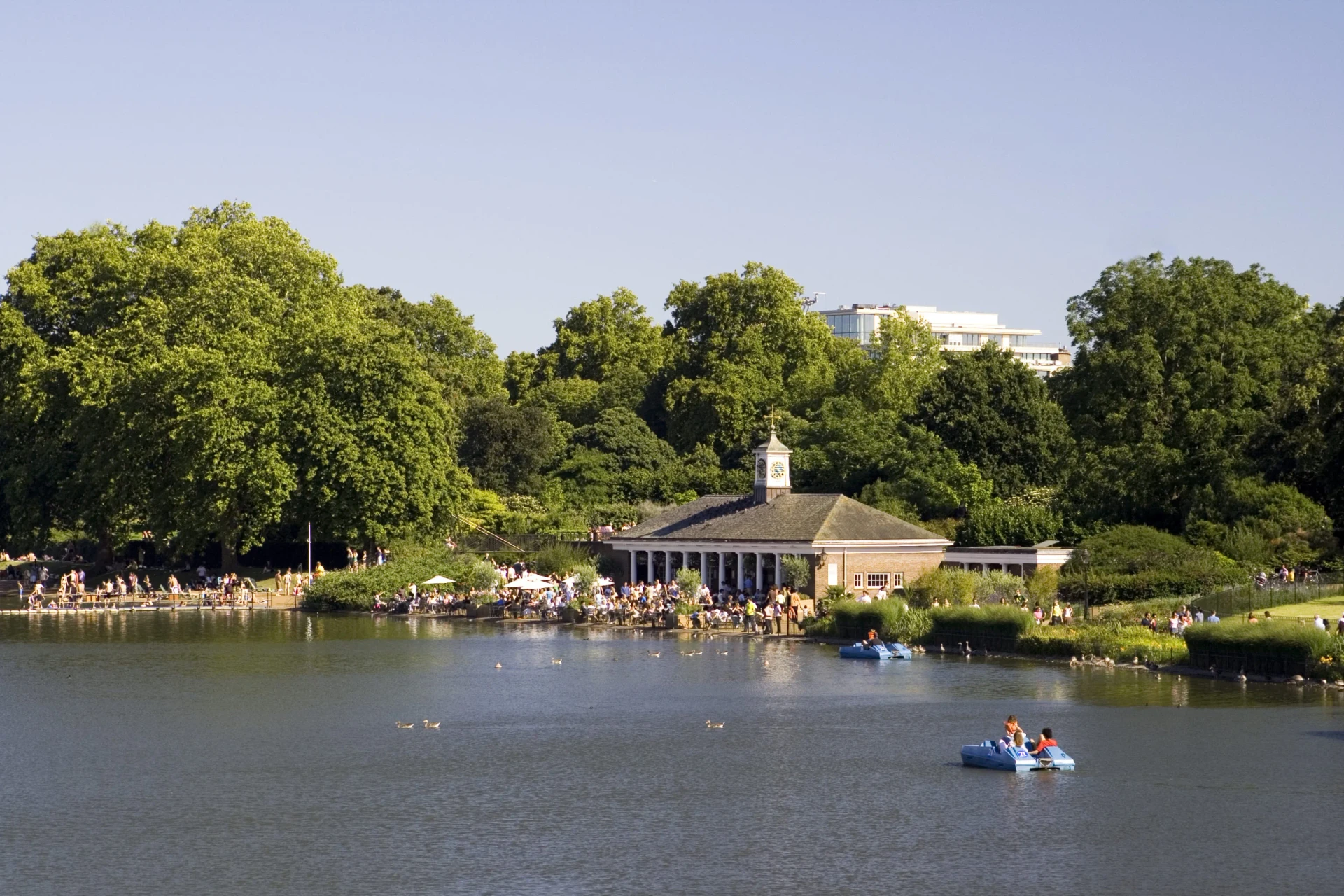 Pedal boats on the Serpentine lake on a sunny day is fun when in London with kids during the summer.