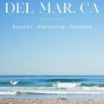 Find the top things to do in Del Mar, CA including activities at one of San Diego's best beaches, shopping, restaurants and more.