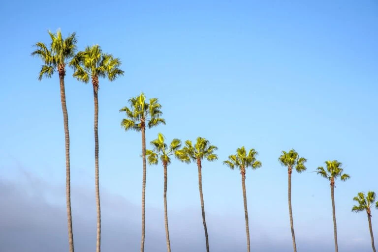 Find out when the best time to visit San Diego is when it comes to hotel rates, ocean temperature, and weather in addition to seasonal events by month.