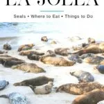 Put together a fun one-day La Jolla itinerary based on your interests with these suggestions for things to do, where to eat and more in this San Diego seaside community.