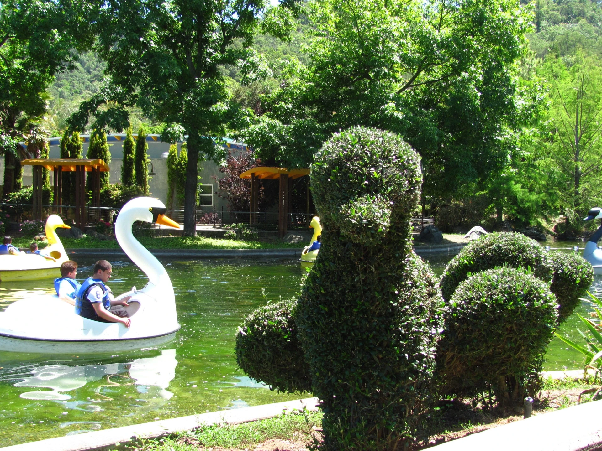 swan ride in the water park in gilroy gardens