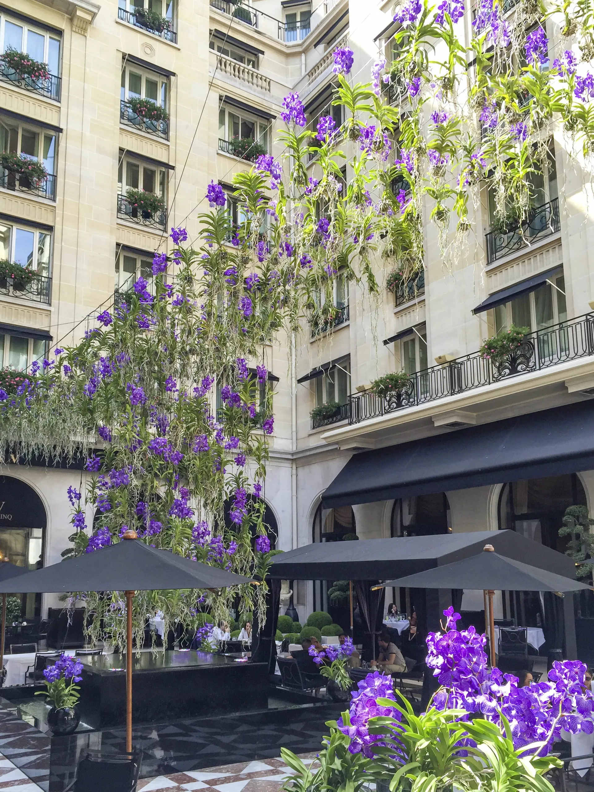 Purple orchids hang above guests at L'Orangerie at Four Seasons Paris.