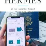 For residents outside of the EU and Turkey, you can save on Hermes handbags and more by shopping duty-free in the Istanbul Airport (IST). Here's the math.