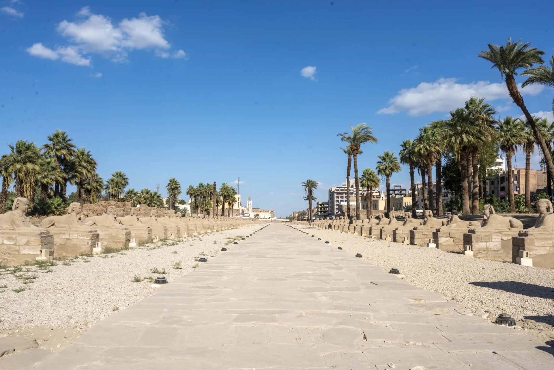 View down the path to Karnak Temple with a row of sphinx on each side.