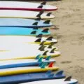 Which San Diego surf school to book surfing lessons with