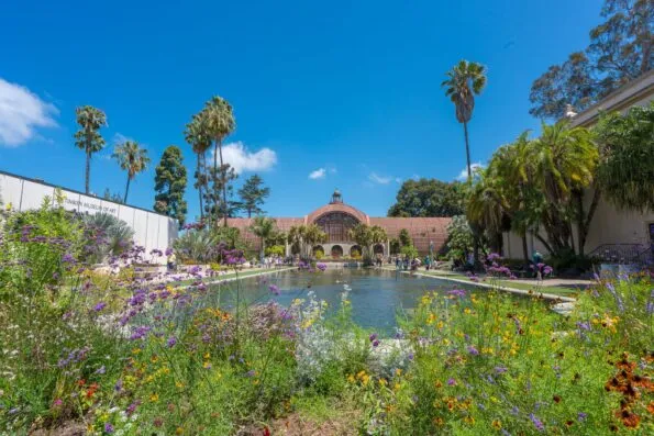 The Botanical Building at Balboa Park with wildflowers booming in front.