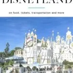 No matter your budget, you'll want to read this list of ways to save money at Disneyland on food, tickets, transportation and more.