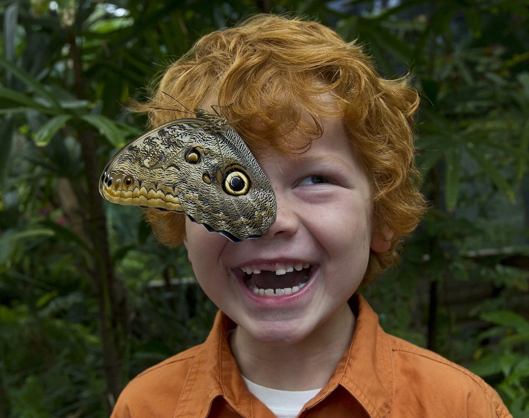 A butterfly lands on a boy's face at Butterfly Jungle.