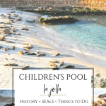 Children's Pool beach and its seals are one of the most popular La Jolla attractions. Learn why we have it, where to park, and what you can do there.