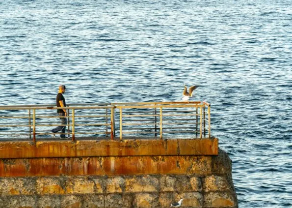 A man walks on the Children's Pool seawall with the ocean in the background.
