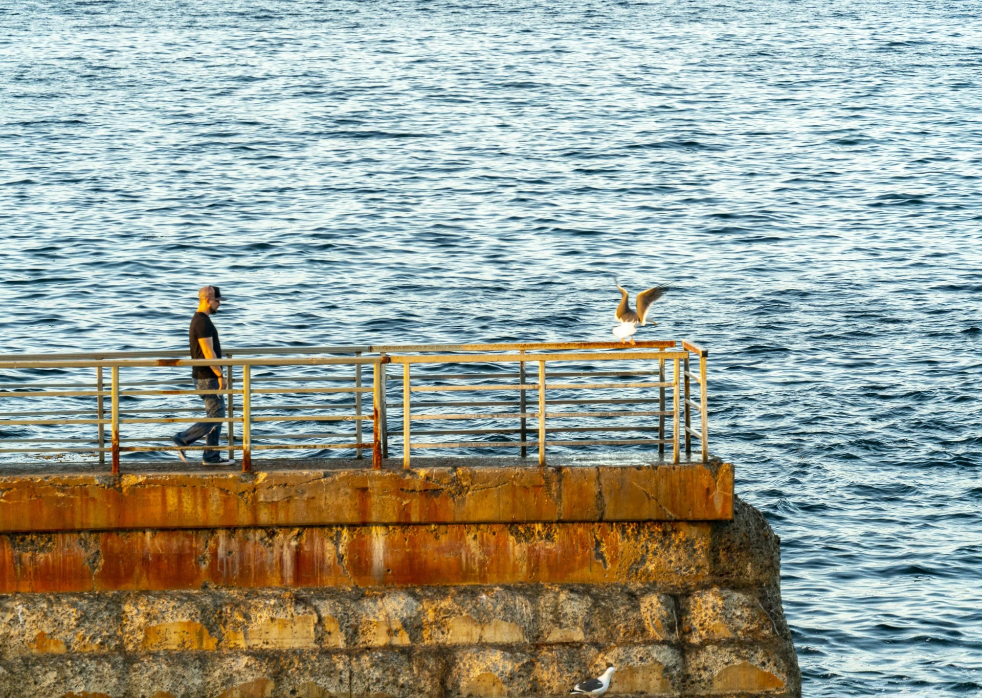 A man walks on the Children's Pool seawall with the ocean in the background.