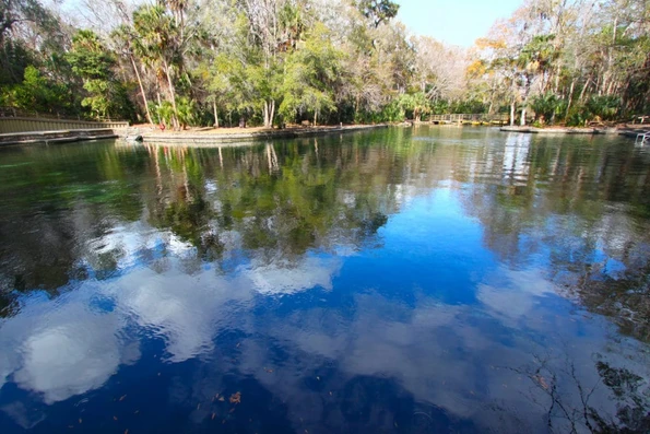 Clouds reflect off the waters of Wekiwa Springs State Park in Central Florida.