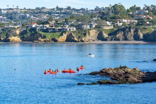 A La Jolla kayak tour views sea lions on the rocks in the underwater park.